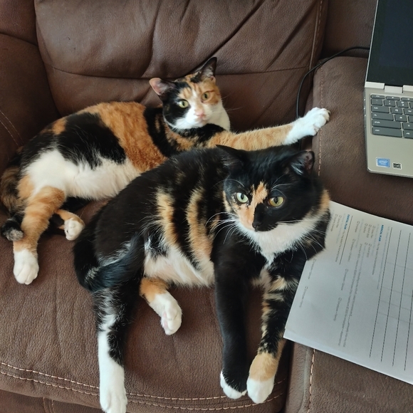 Meet your Posher, Stacey. - Picture 2 of 6